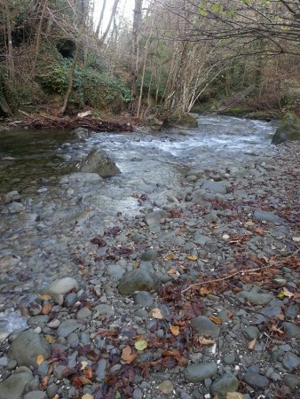 FIUME TRA I BOSCHI DEI MONTI DELLA LAGA (AP)